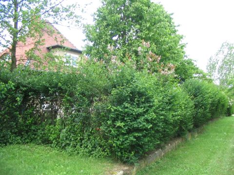 Bahnhof Growelsbach 1