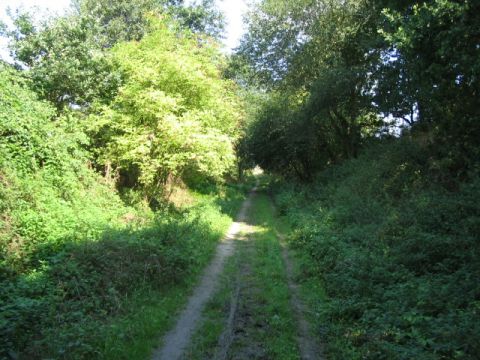 Im Wald zwischen Barchfeld und Marienthal