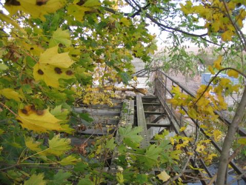 Br�cke �ber die Truse