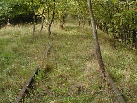 Zwischen Vacha und Philippsthal