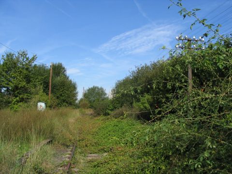 Ausfahrt Hungen 2
