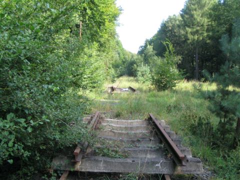 Im Wald zwischen Hungen und Villingen
