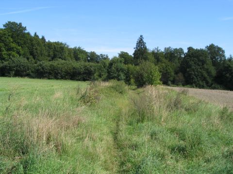 Zwischen Villingen und Ruppertsburg 1