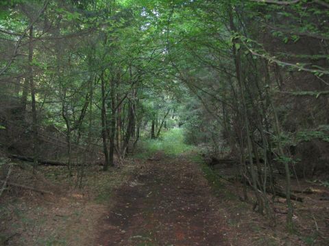 Sdportal des alten Freienseener Tunnels