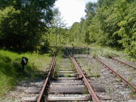 Einfahrt Bahnhof Grossalmerode West