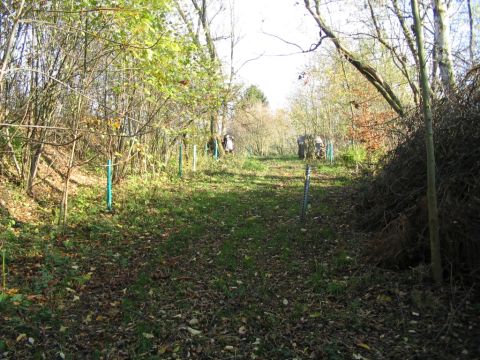 Ehemalige Feldwegberfhrung