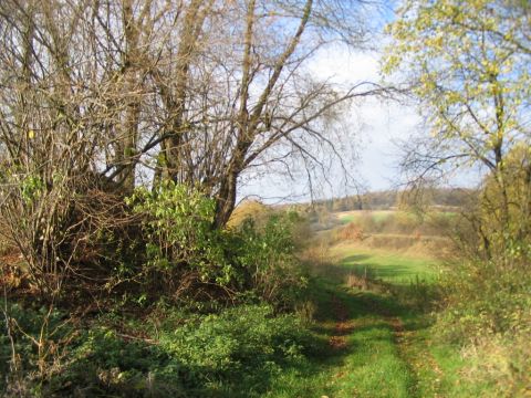 Ehemalige Brcke ber einen Feldweg