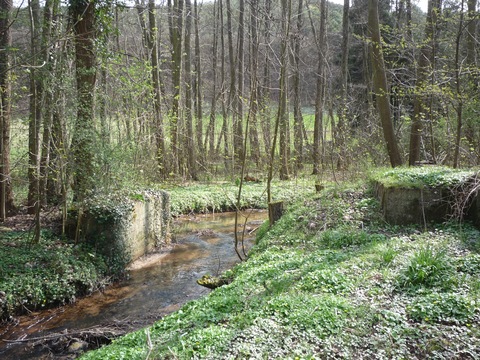 Brcke ber den Eckbach
