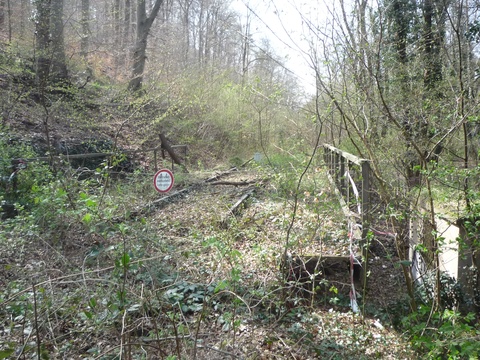 Bahnbergang zwischen Grnstadt und Sausenheim