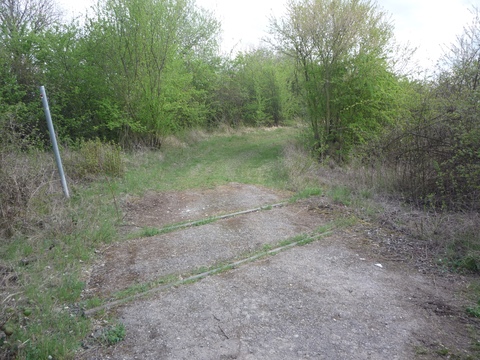 Bahnbergang zwischen Grnstadt und Sausenheim