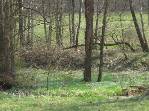 Zwischen Drahtzug und Altleiningen