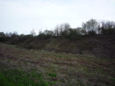 Zwischen Sausenheim und Neuleiningen-Kleinkarlbach