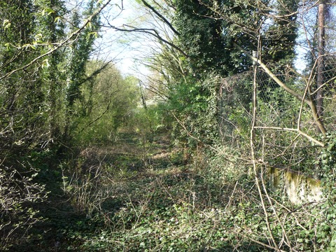 Zufahrt Schwetzingen