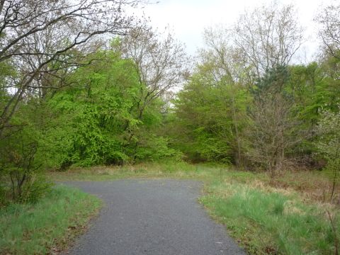 Zwischen Graben-Neudorf und Hochstetten