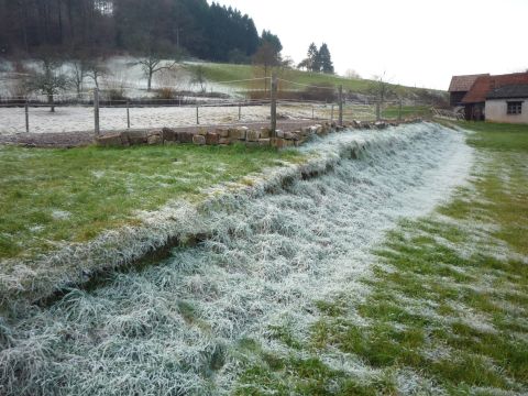 Steinladerampe Ettenheimmnster