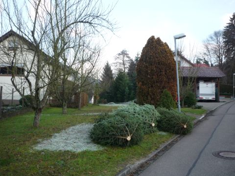 Ehemaliger Einschnitt vor dem Schwarzba