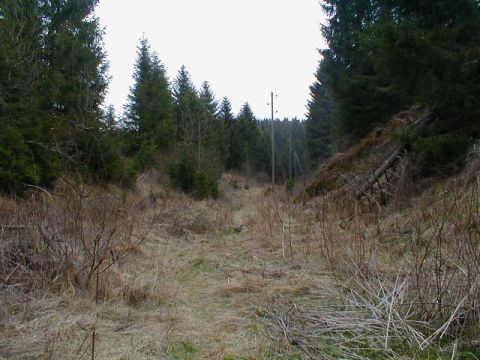 Vor dem Viadukt in Unterlenzkirch