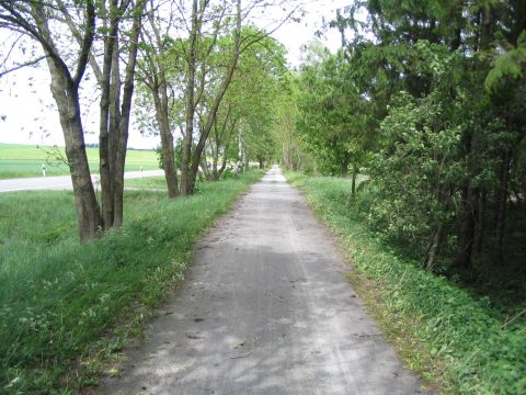 Trasse neben der Straße Bad Schussenried - Buchau