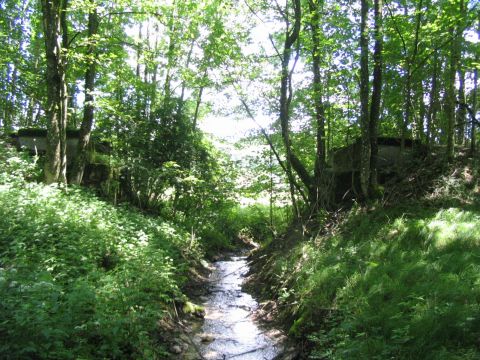 Bachbr�cke bei Rimpach