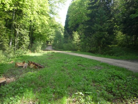 Zwischen Denkingen und Gosheim