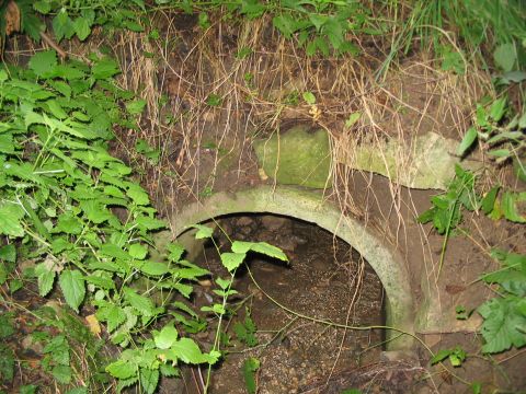 Bachdurchlass bei Hofwiesen