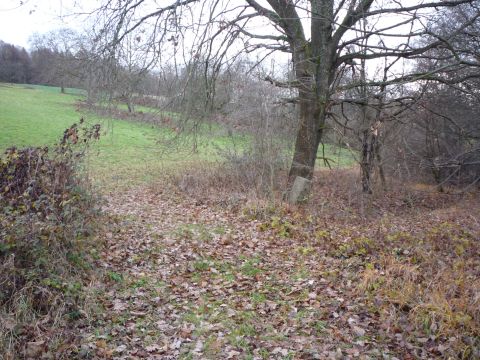 Bahnbergang zwischen Birkenfeld und Grfenhausen