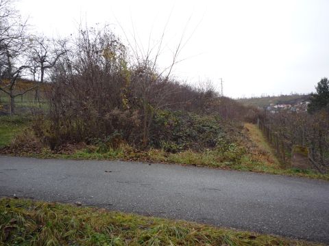 Bahnbergang zwischen Grfenhausen und Dietlingen