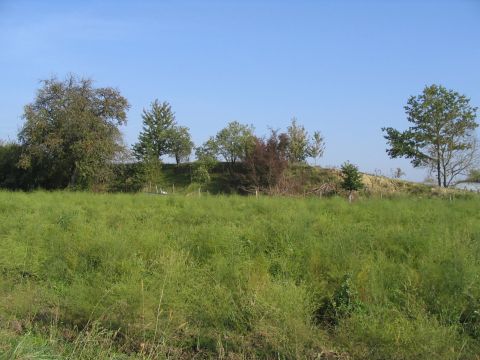 Damm westlich von Oberuhldingen