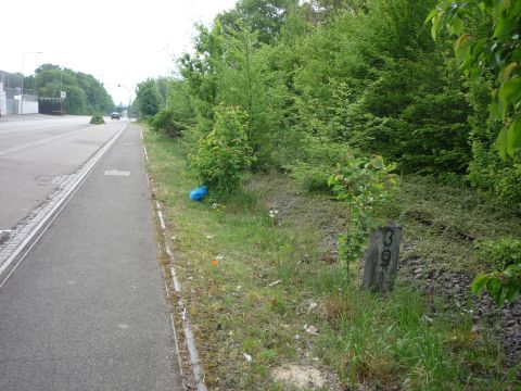 Zufahrt zum Schlachthof