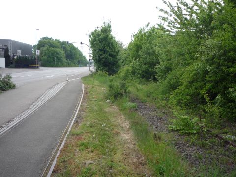 Zufahrt zum Schlachthof