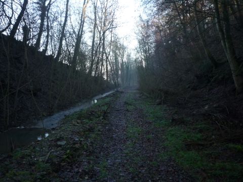 Ausfahrt vom M�rtelsteiner Tunnel