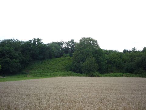 Damm des Verbindungsbogens