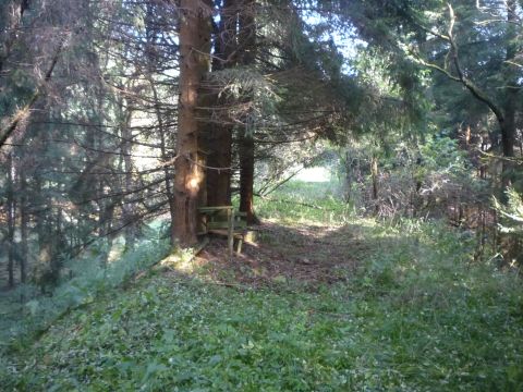 Zufahrt zum Flugplatz