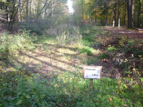 Zufahrt zum Flugplatz