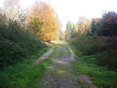 Zufahrt zum Flugplatz