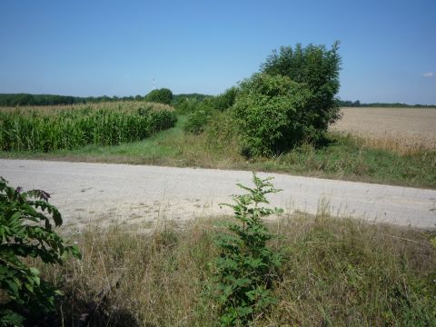 Bahnbergang zwischen Gerabronn und Ludwigsruhe