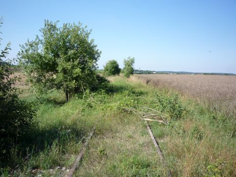 Zwischen Ludwigsruhe und Langenburg