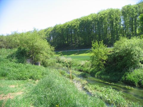 Br�cke �ber die Egau