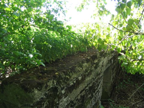 Zwischen Z�schlingsweiler und Lauingen