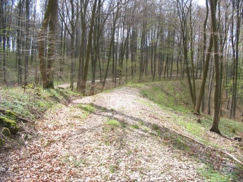 Bahnhof Waldhausen-Glashtte und Hllhau