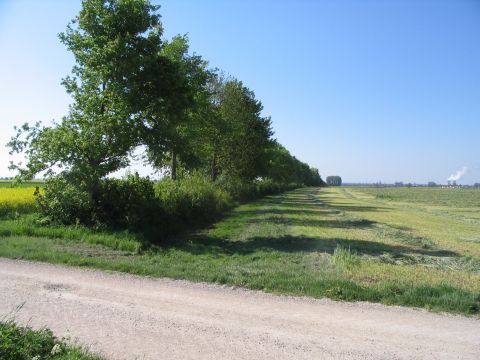 Zwischen Z�schlingsweiler und Lauingen