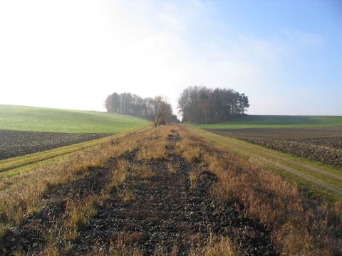 Zwischen Dinkelscherben und Obersch�neberg
