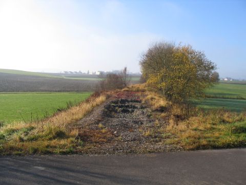 Zwischen Dinkelscherben und Obersch�neberg