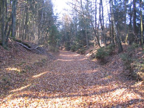 Zwischen Ziemetshausen und Thannhausenn