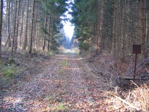 Zwischen Ziemetshausen und Thannhausenn