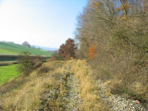 Zwischen Ziemetshausen und Thannhausenn