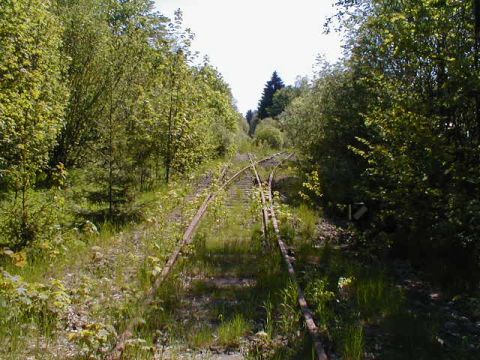 Abzweig Oberwildflecken
