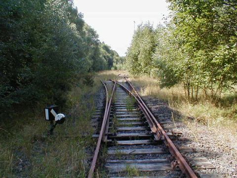 Einfahrt in den Bahnhof Oberaula