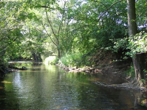 Anschluss VEB Kalibetrieb Menzengraben