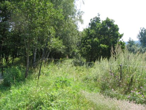 Zufahrt VEB Kalibetrieb Menzengraben